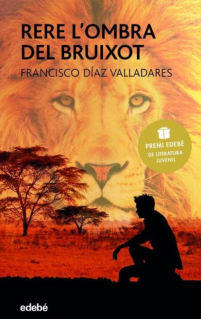 RERE L'OMBRA DEL BRUIXOT | 9788468333137 | Díaz Valladares, Francisco