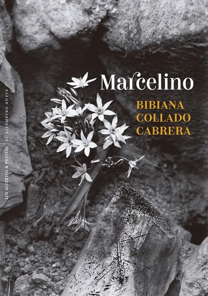 Marcelino | 9788410476431 | Collado Cabrera, Bibiana