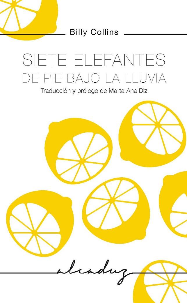 Siete elefantes de pie bajo la lluvia | 9788494943225 | Collins, Billy