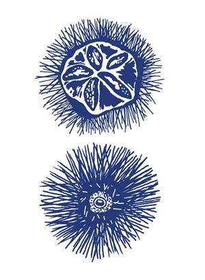 Pack llibretes Vitel·la (mar) | lm