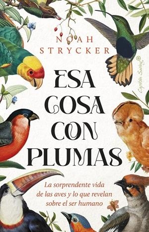Esa cosa con plumas | 9788412953114 | Stryck, Noah Keefer