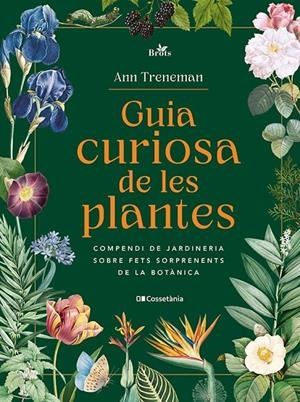 Guia curiosa de les plantes | 9788413565354 | Treneman, Ann